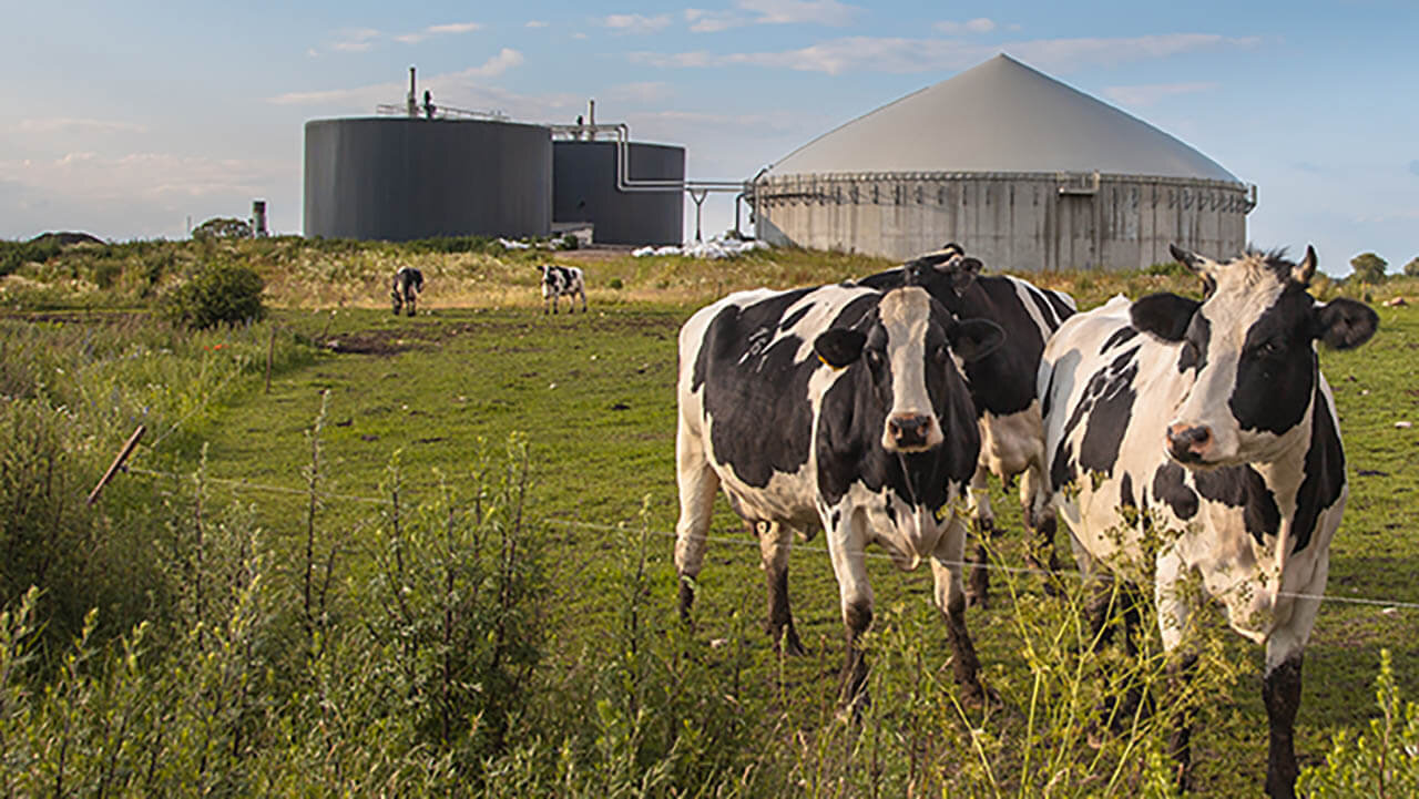 Bioenergie bezieht sich auf Energie, die aus biologischen Materialien wie Biomasse, organischen Abfällen oder biologisch abbaubaren Materialien gewonnen wird. Diese Form der erneuerbaren Energie wird durch Prozesse wie Verbrennung, Vergärung oder biologische Zersetzungsprozesse erzeugt und trägt zur nachhaltigen Energieversorgung bei.
